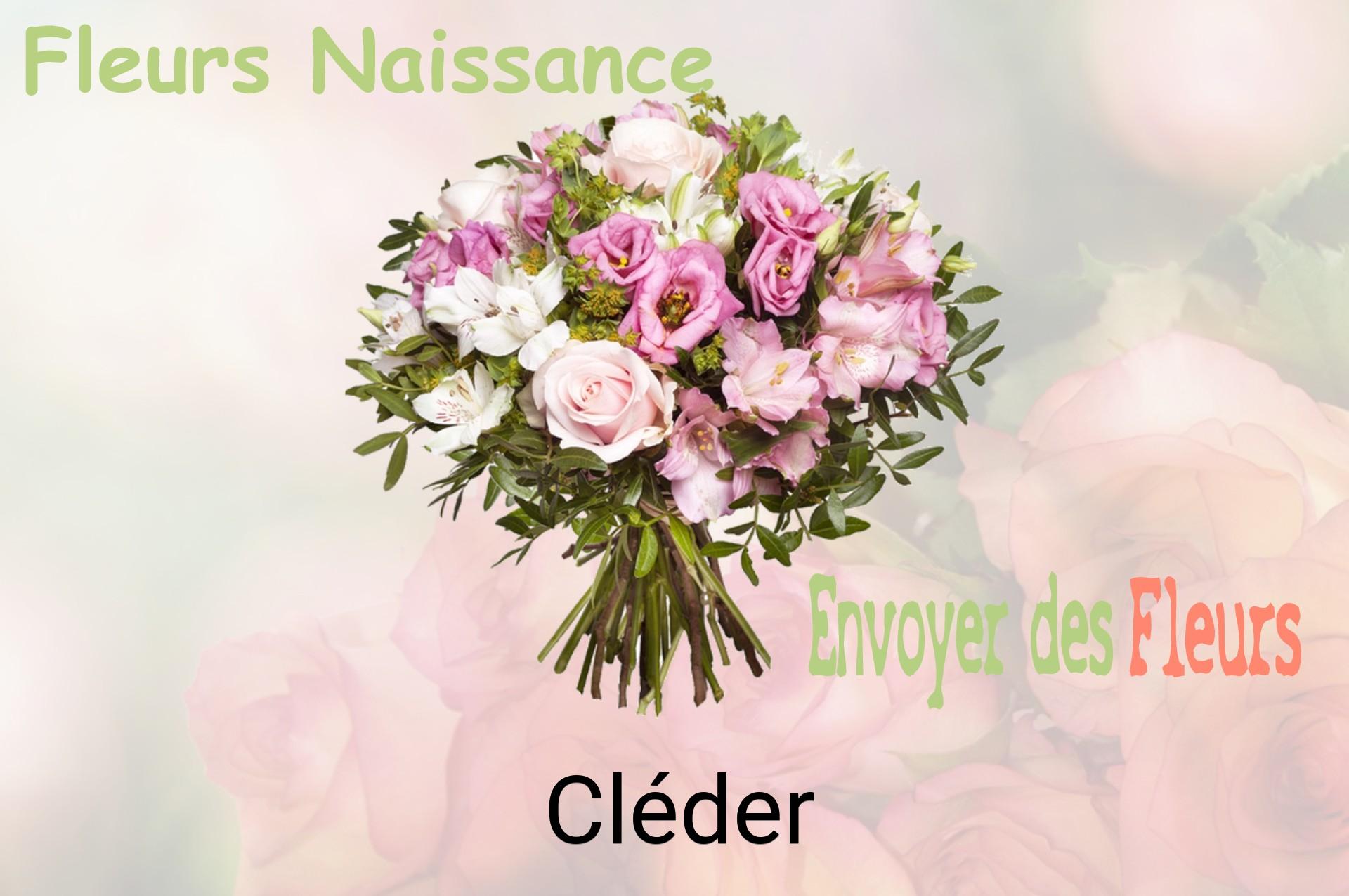 Bouquet de fleurs de naissance livré à Cléder